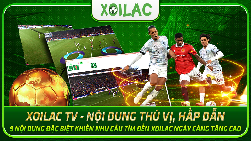 Xoilac có thể khẳng định là một kênh phát sóng bóng đá trực tiếp đứng đầu thị trường
